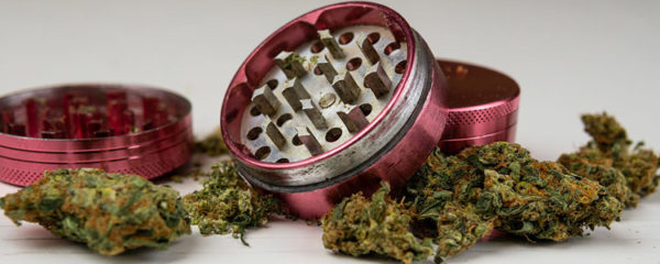 grinder